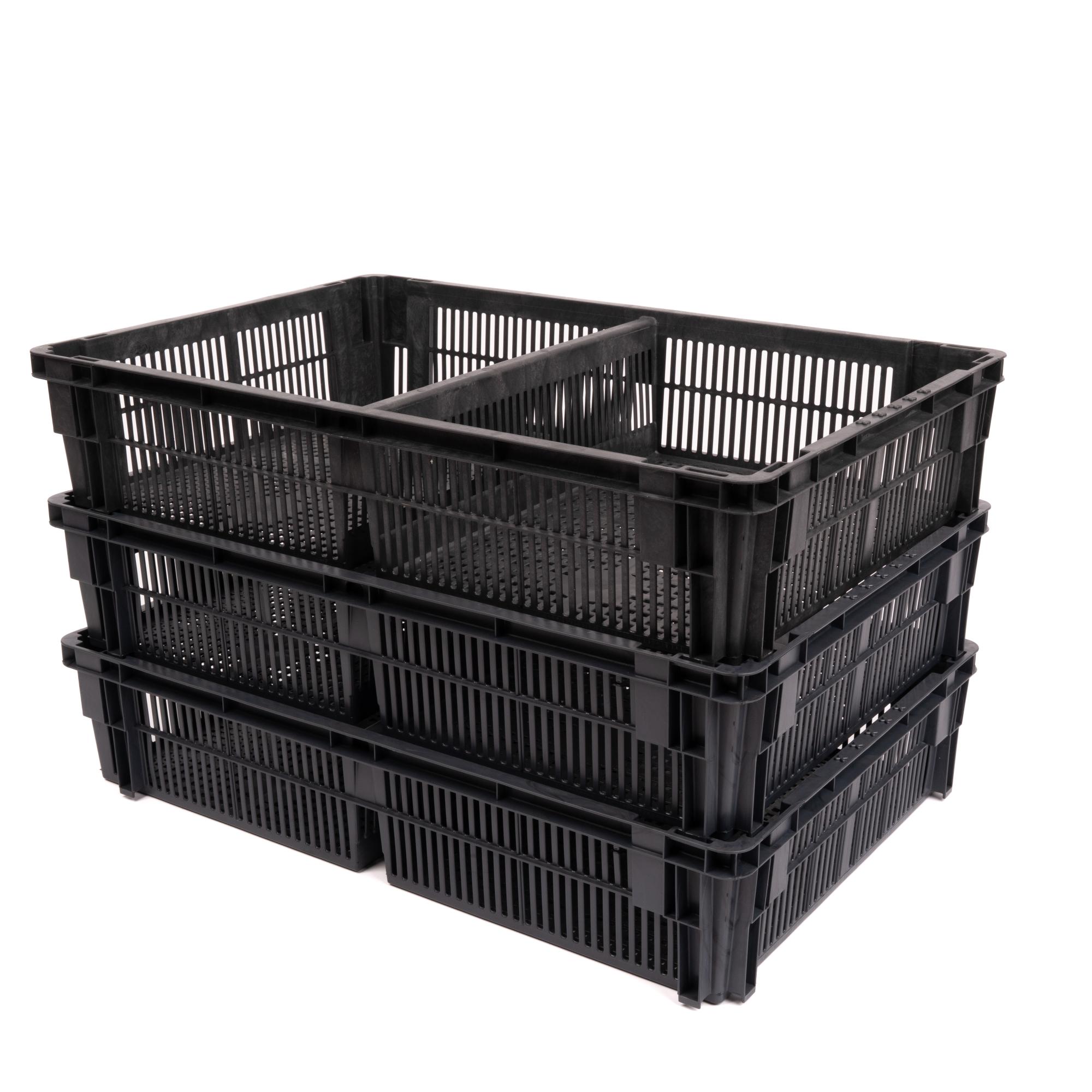 Civciv Nakil Kasası (Ekonomik) (2 Bölmeli)