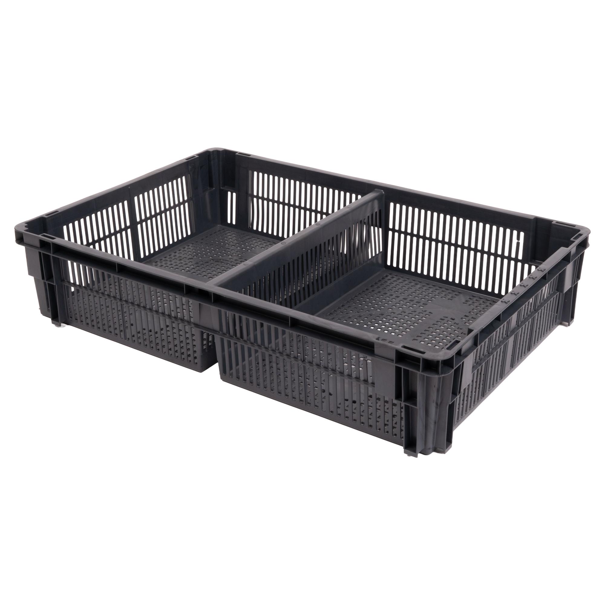 Civciv Nakil Kasası (Ekonomik) (2 Bölmeli)